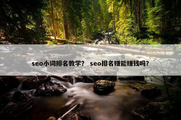 seo小词排名教学？ seo排名赚能赚钱吗？