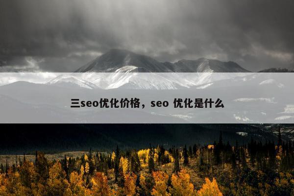 三seo优化价格，seo 优化是什么