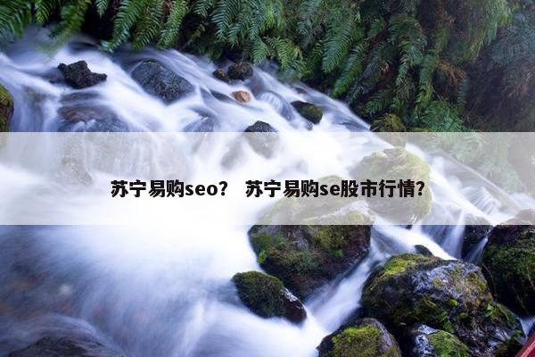 苏宁易购seo？ 苏宁易购se股市行情？