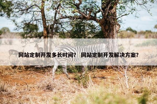 网站定制开发多长时间？ 网站定制开发解决方案？