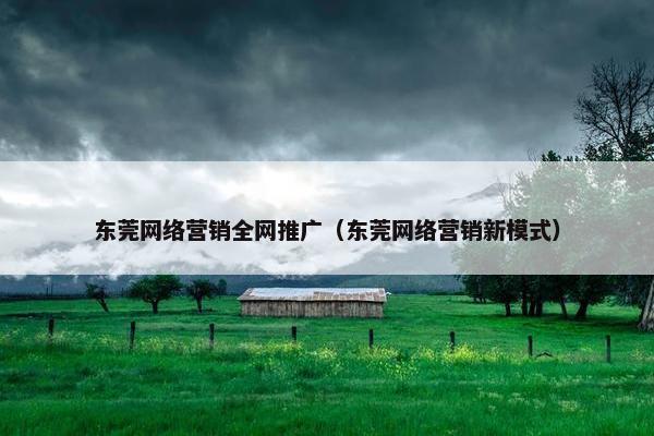 东莞网络营销全网推广（东莞网络营销新模式）