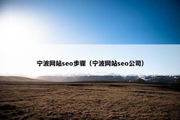宁波网站seo步骤（宁波网站seo公司）