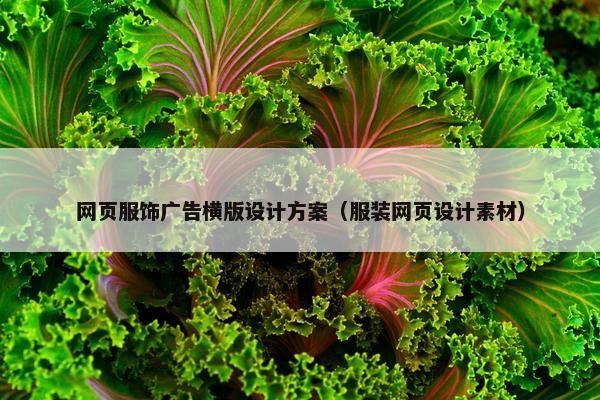 网页服饰广告横版设计方案（服装网页设计素材）