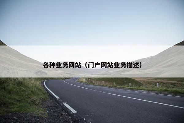 各种业务网站（门户网站业务描述）