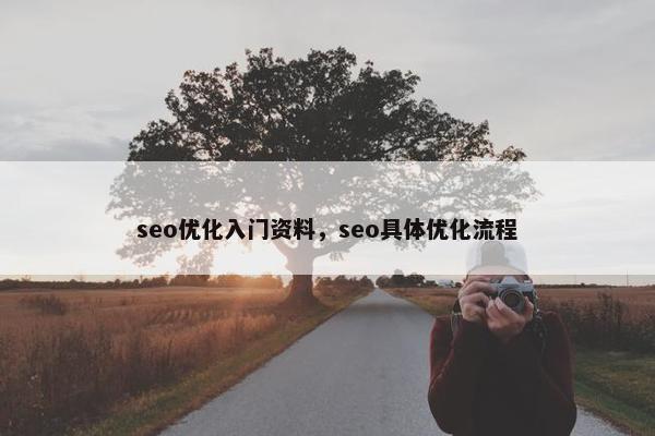 seo优化入门资料，seo具体优化流程