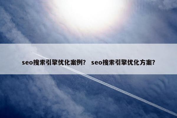 seo搜索引擎优化案例？ seo搜索引擎优化方案？