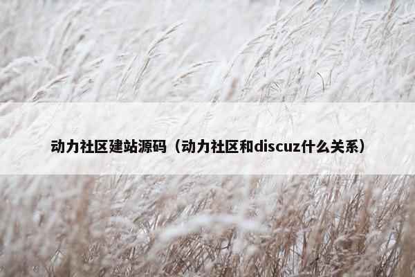 动力社区建站源码（动力社区和discuz什么关系）