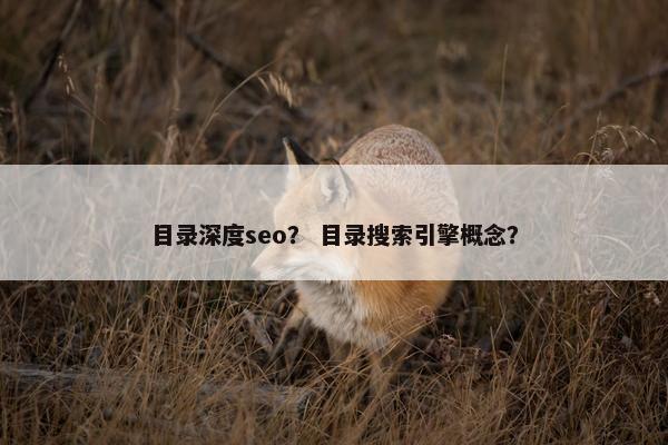 目录深度seo？ 目录搜索引擎概念？