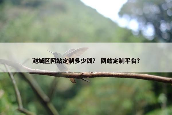 潍城区网站定制多少钱？ 网站定制平台？