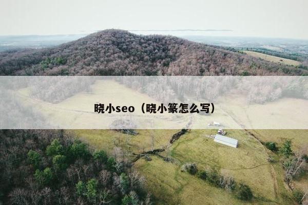 晓小seo（晓小篆怎么写）