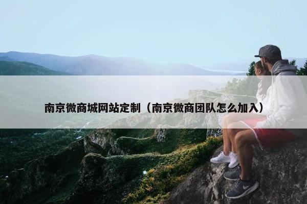 南京微商城网站定制（南京微商团队怎么加入）