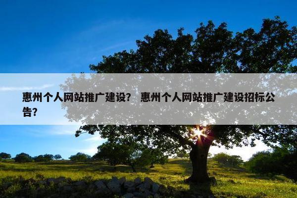 惠州个人网站推广建设？ 惠州个人网站推广建设招标公告？