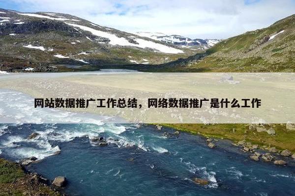 网站数据推广工作总结，网络数据推广是什么工作