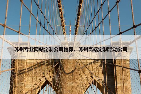 苏州专业网站定制公司推荐，苏州高端定制活动公司