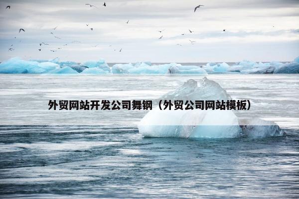 外贸网站开发公司舞钢（外贸公司网站模板）