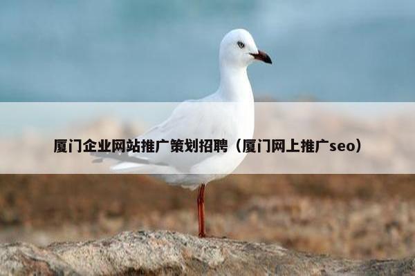 厦门企业网站推广策划招聘（厦门网上推广seo）