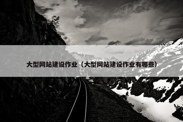 大型网站建设作业（大型网站建设作业有哪些）