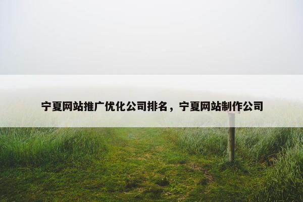 宁夏网站推广优化公司排名，宁夏网站制作公司