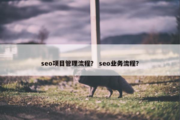 seo项目管理流程？ seo业务流程？