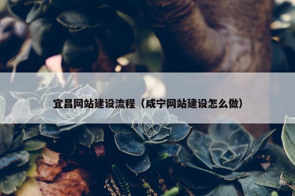 宜昌网站建设流程（咸宁网站建设怎么做）