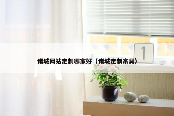 诸城网站定制哪家好（诸城定制家具）