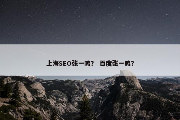 上海SEO张一鸣？ 百度张一鸣？