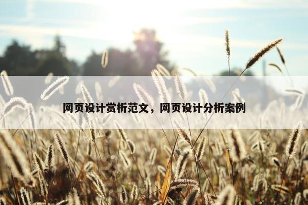 网页设计赏析范文，网页设计分析案例