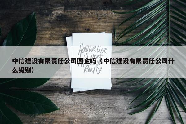 中信建设有限责任公司国企吗（中信建设有限责任公司什么级别）