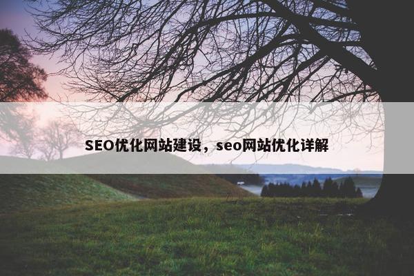 SEO优化网站建设，seo网站优化详解