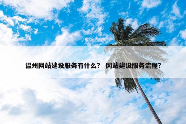 温州网站建设服务有什么？ 网站建设服务流程？