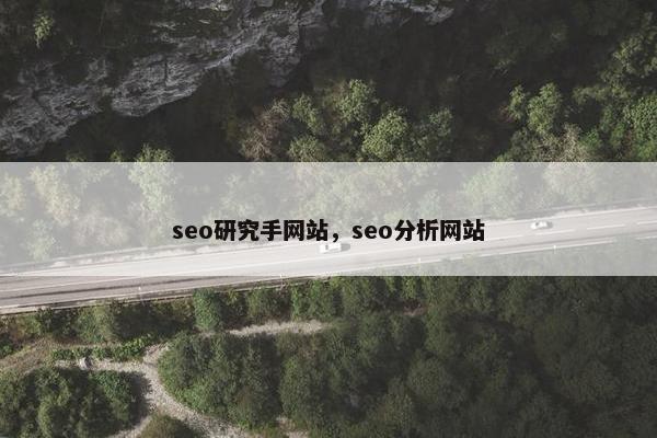 seo研究手网站，seo分析网站