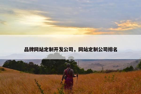 品牌网站定制开发公司，网站定制公司排名
