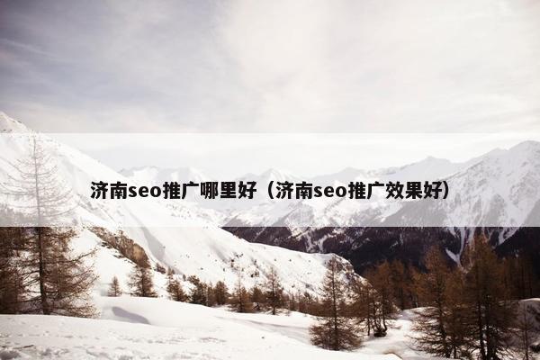 济南seo推广哪里好（济南seo推广效果好）