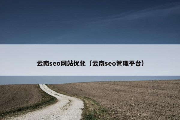 云南seo网站优化（云南seo管理平台）