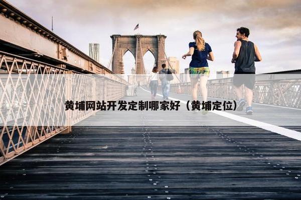 黄埔网站开发定制哪家好（黄埔定位）