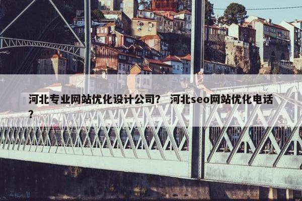 河北专业网站优化设计公司？ 河北seo网站优化电话？