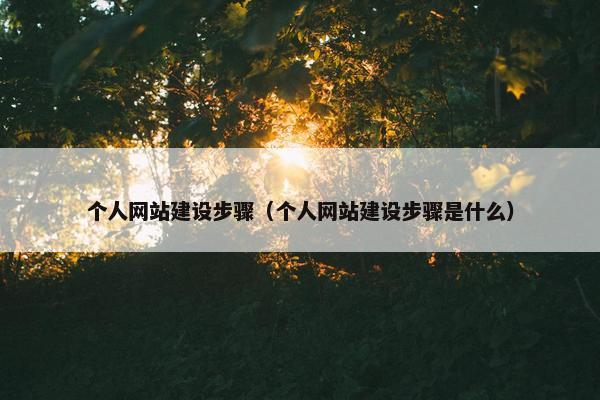个人网站建设步骤（个人网站建设步骤是什么）