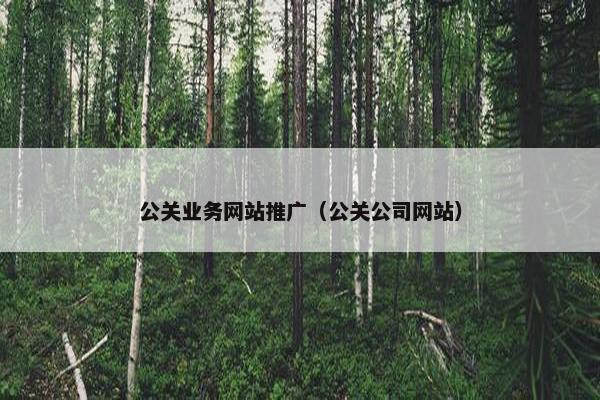 公关业务网站推广（公关公司网站）