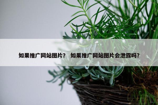 如果推广网站图片？ 如果推广网站图片会泄露吗？