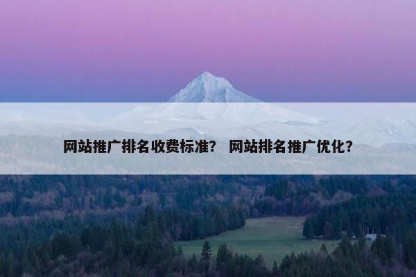 网站推广排名收费标准？ 网站排名推广优化？