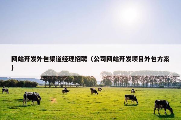 网站开发外包渠道经理招聘（公司网站开发项目外包方案）