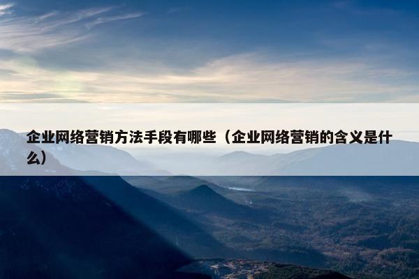 企业网络营销方法手段有哪些（企业网络营销的含义是什么）
