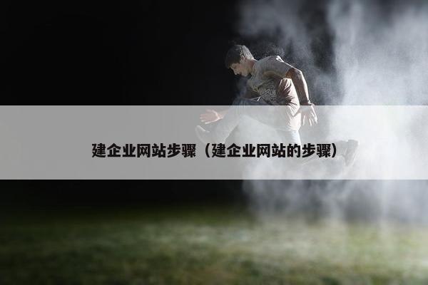 建企业网站步骤（建企业网站的步骤）