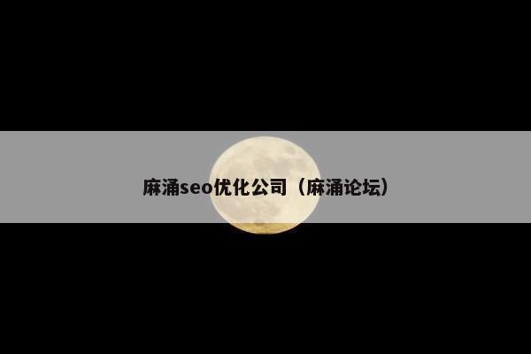 麻涌seo优化公司（麻涌论坛）