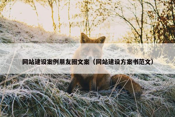 网站建设案例朋友圈文案（网站建设方案书范文）