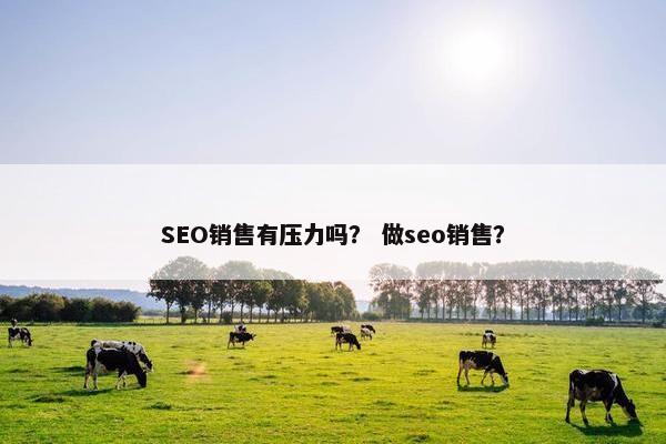 SEO销售有压力吗？ 做seo销售？