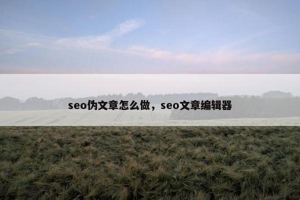 seo伪文章怎么做，seo文章编辑器