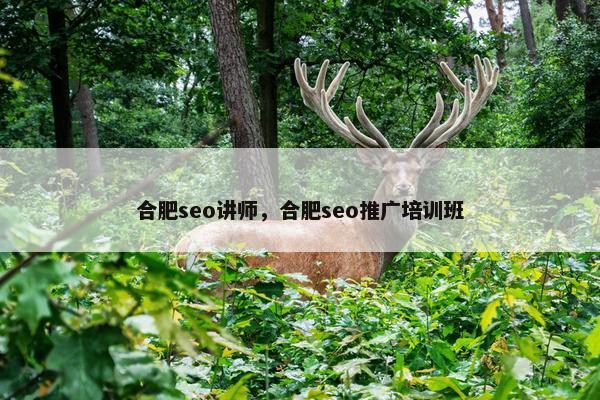 合肥seo讲师，合肥seo推广培训班