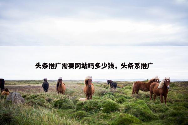 头条推广需要网站吗多少钱，头条系推广