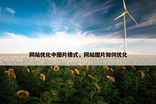 网站优化中图片格式，网站图片如何优化